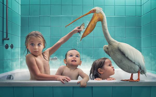John Wilhelm photography