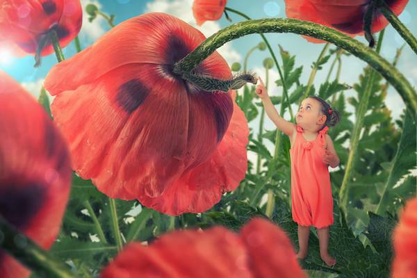 John Wilhelm photography