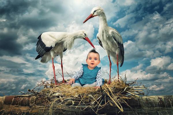 John Wilhelm photography