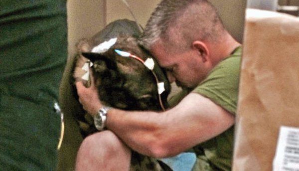 K9 Bruno and his partner