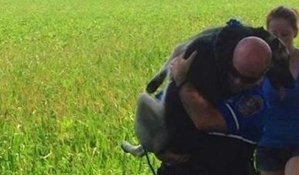 Police Officer Goes The ‘Extra Mile’ To Help Injured Dog