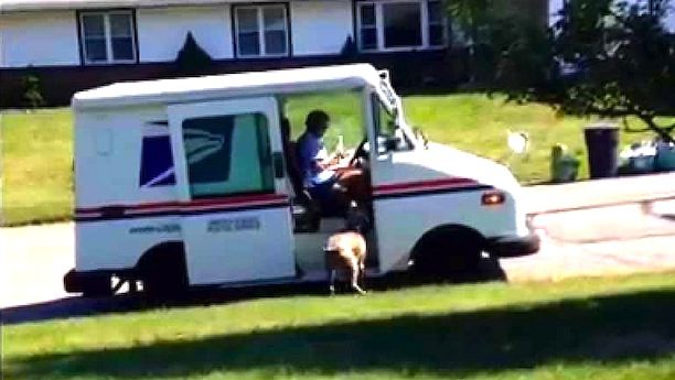 mail carrier approached by dog