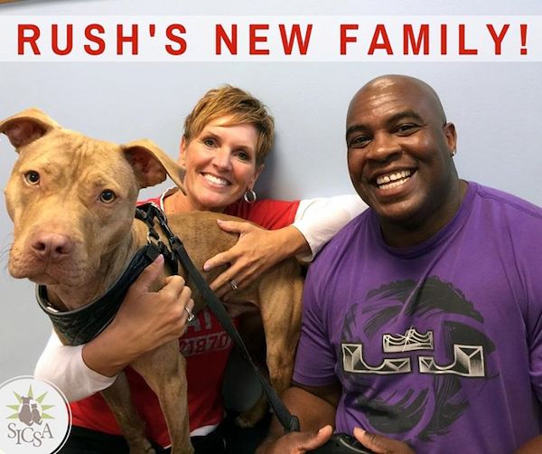 Rush adopted