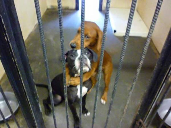 shelter-safe-2