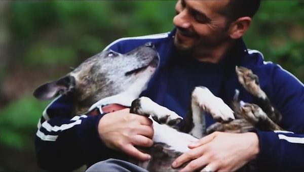 Stella the dog adopted