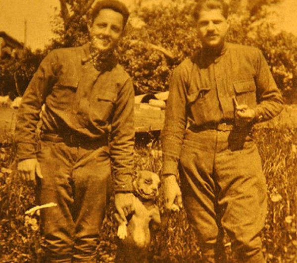 stubby-7