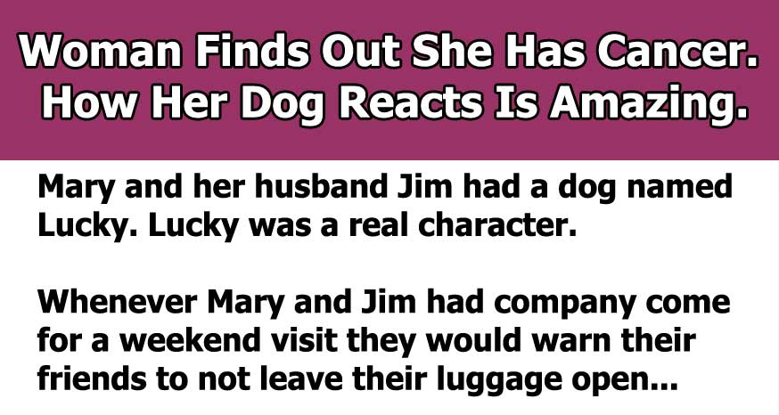 After A Woman Finds Out She Has Breast Cancer, Her Dog’s Response Helps Her Heal