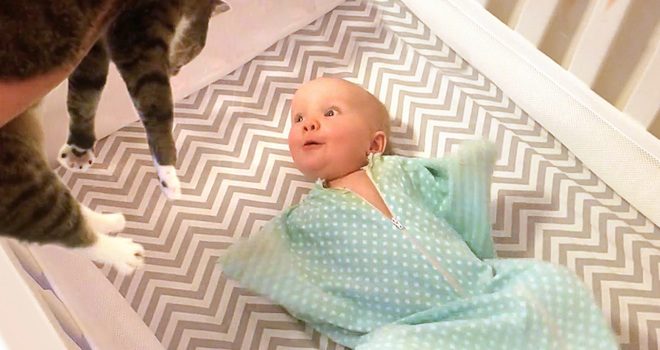 Baby Can’t Contain Her Excitement When The Family Cat Comes In To Say Good Night