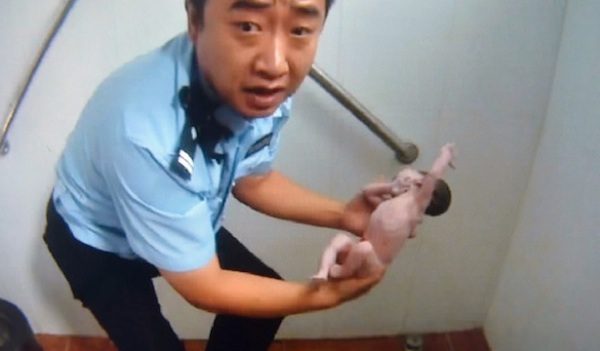 baby saved from toilet