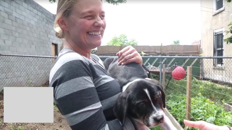 Badass Brooklyn Animal Rescue story