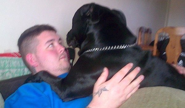 Suicidal Man’s Life Saved When His Loyal Dog Stops Him
