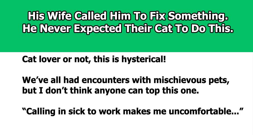 Man Calls In Sick To Work Thanks To One Mischievous Pet