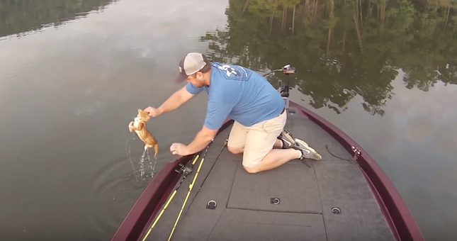 Two Fishermen In Disbelief When They Rescue Pair Of Kittens In the Water