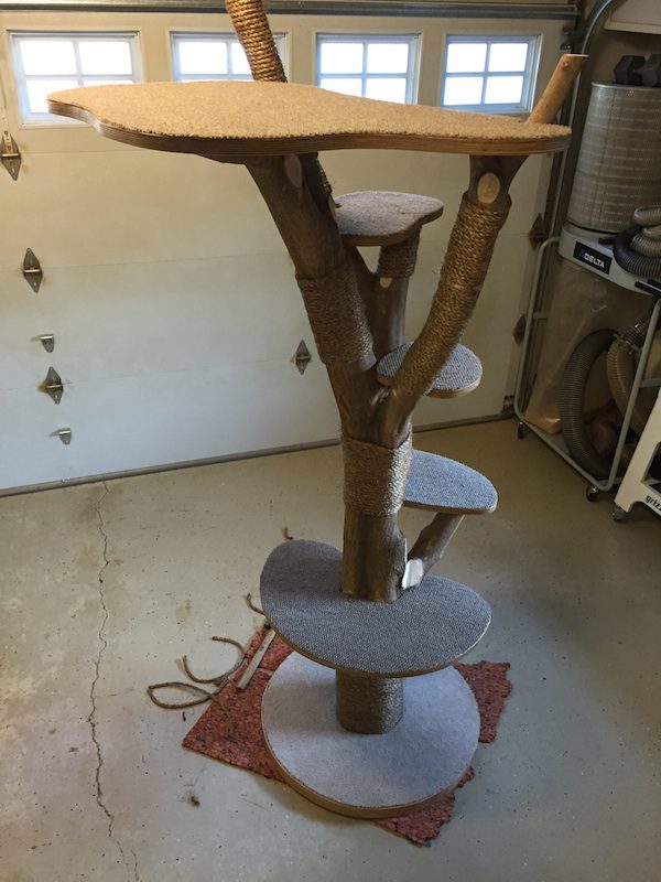 cat-tree-54