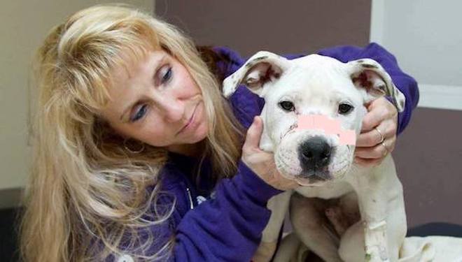 Abused Puppy Stumbled Into The Right Backyard On Christmas Day Gets Justice