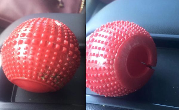 chew-toy