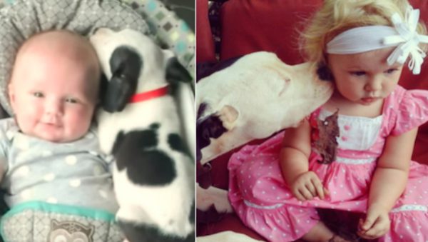 Snuggly Puppy And His Human Sister Still Best Friends One Year Later