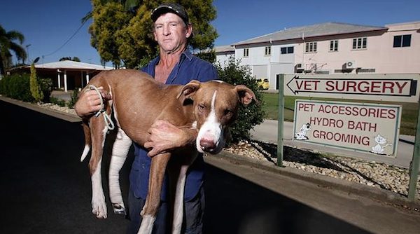Man Carries His Beloved Dog For Two Days Through Wilderness To Save His Life
