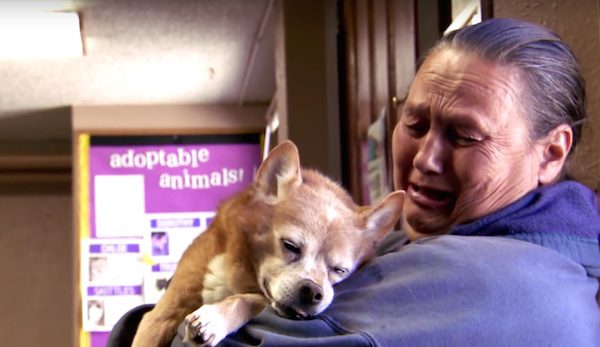 dog revived after his heart stops