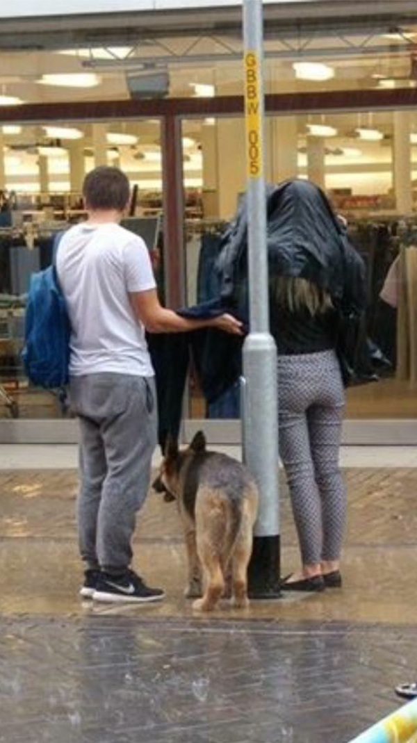 dog-umbrella-1