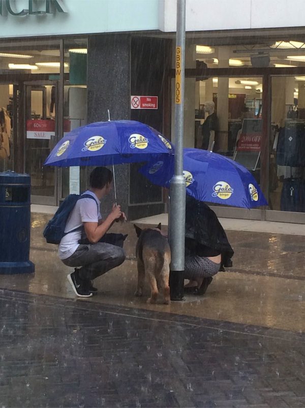 dog-umbrella-2