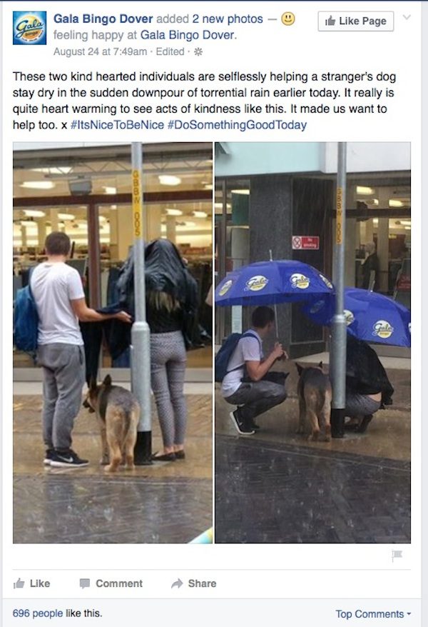 dog-umbrella-3
