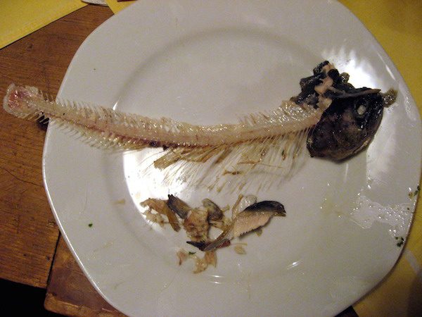 fish-bones