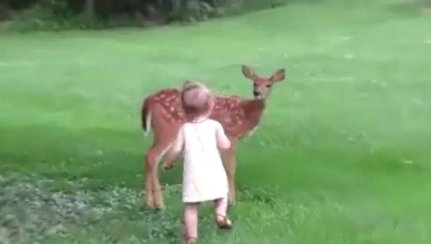 girl and baby deer