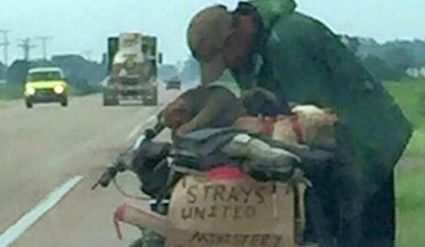 Homeless Man Traveling Across USA With 11 Stray Dogs He Rescued Gets A Helping Hand From Strangers
