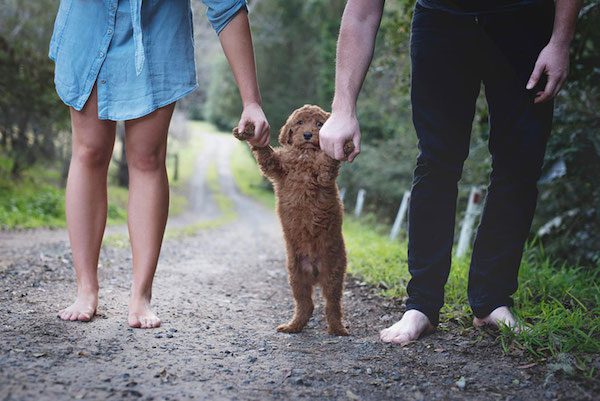 Tired Of Being Asked About Babies, This Couple Did A Newborn Photoshoot With Their Puppy