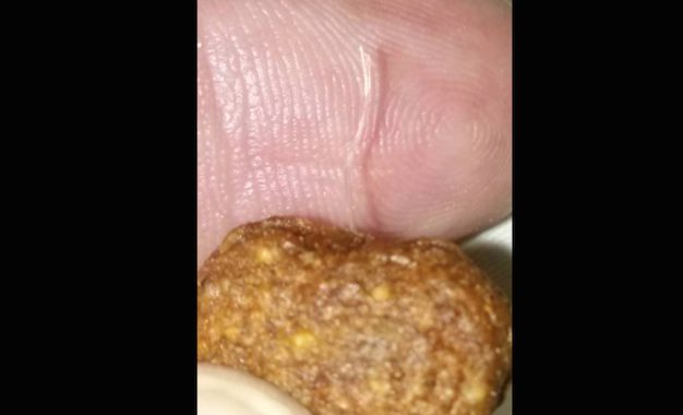 Pet Owners Concerned Over “Wire-Like” Fibers Found In Dog Kibble