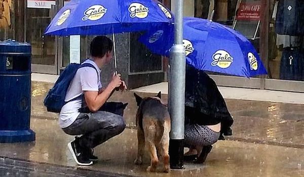 Kind-Hearted Couple Care For Stranger’s Dog Caught In Rainstorm