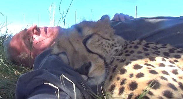 man with cheetah