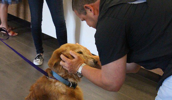 Family Reunite With Their Dog 10 Years Later After She’s Rescued From Hoarder’s Home
