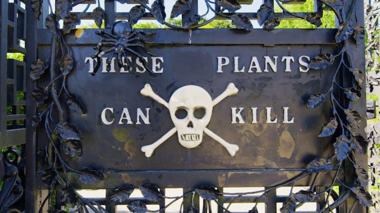 The Poison Garden