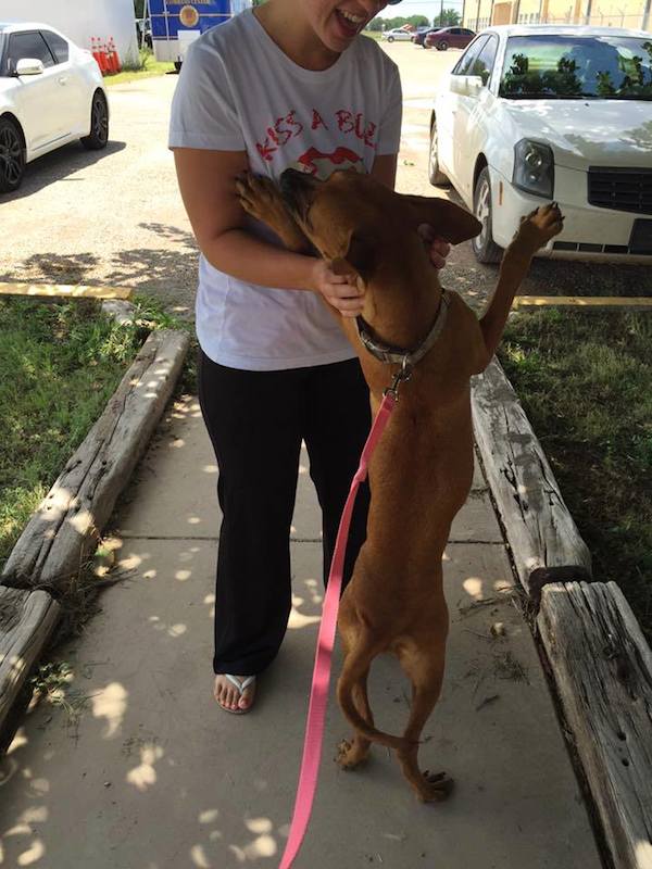 rescue-after
