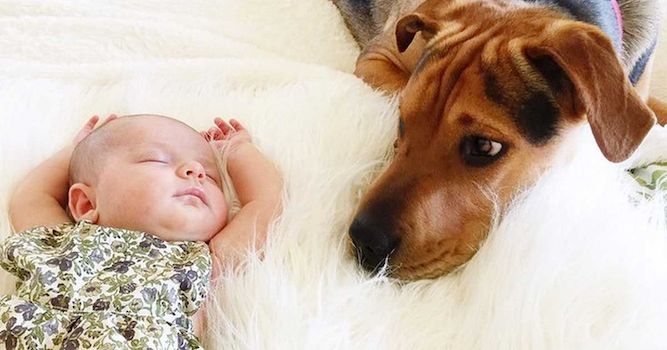 theo and evvie