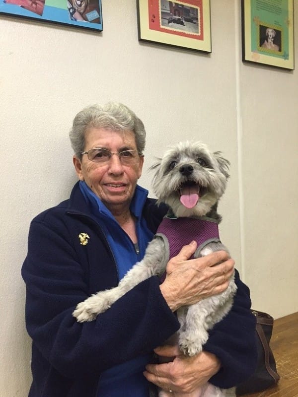 zara-adopted