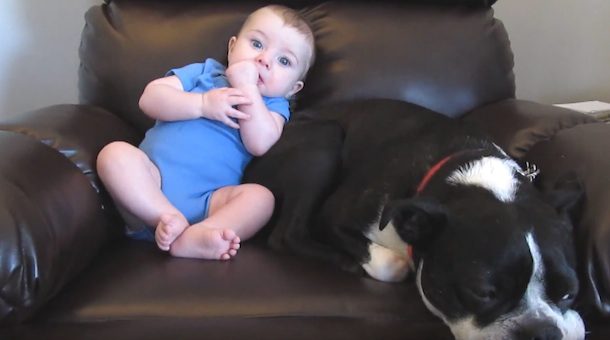 baby poops
