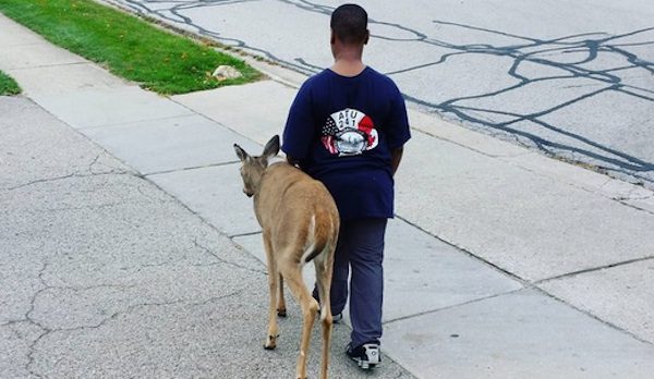 Kind Little Boy Helps Blind Deer That Wanders Into His Neighborhood