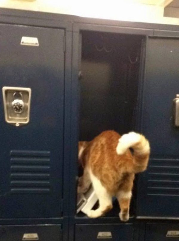 bubba-locker