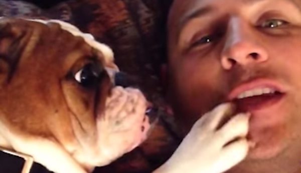 bulldog asks for kisses