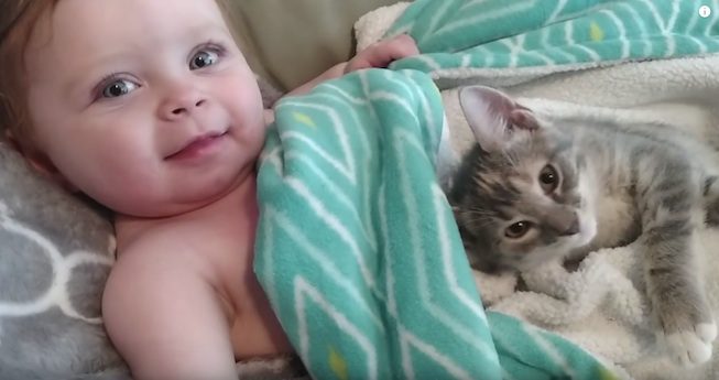 Baby And Cat Waking Up Together Is The Sweetest Thing
