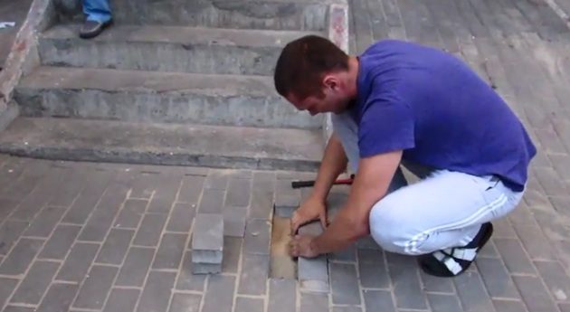 Man Hears Barking Coming From Underneath Sidewalk And Finds Dog Buried Alive
