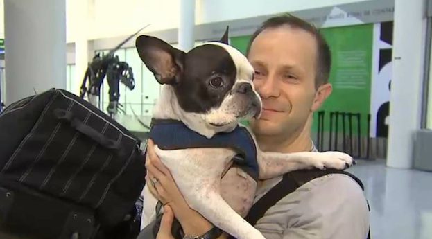 Air Canada Pilot Diverts International Flight To Save A Dog