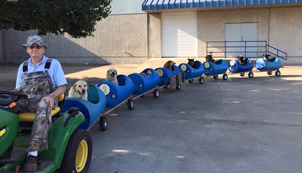 Man Builds A Dog Train To Take His Rescue Dogs Out On Little Adventures