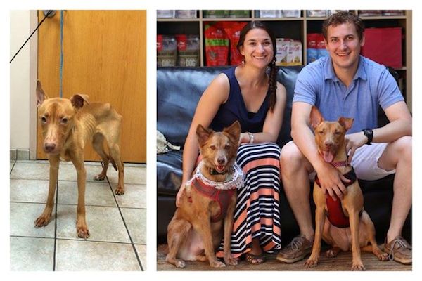 emmy-adopted