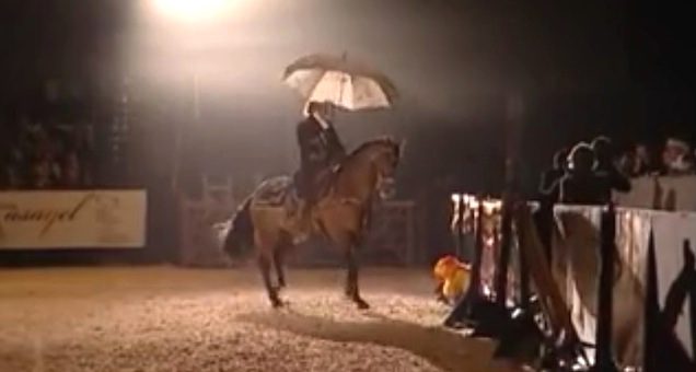 Dressage Horse And Trainer Charm Audience Performing To ‘Singing To The Rain’