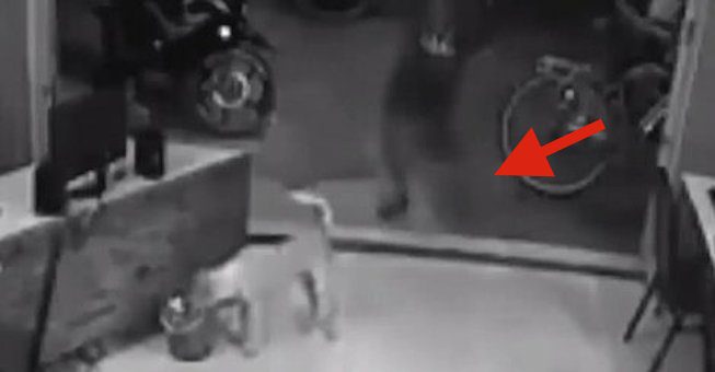 instant karma strikes man