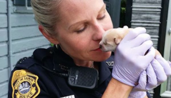 police rescue puppy from trash